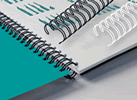 Report Binding Options